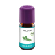 Rozemarijn bio aroma 5ml