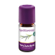 Taoasis spijklavendel bio -  Lavandula spica