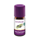 Taoasis Alpenden olie 5ml Pinus Cembra