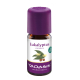 Biologische eucalyptus olie