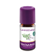 Taoasis Lavendelsalie 5ml