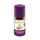 Biologische eucalyptus olie