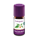 Taoasis petitgrain olie