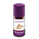 Taoasis pure sandelhoutolie 5ml