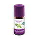 Teatree olie Zuid Afrika