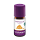 Taoasis frankincense olie somalie
