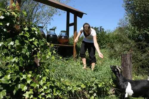 Eigen bio landbouw